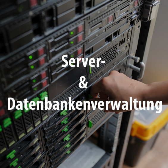 Ausbildung Arbeitsbereich Server&Datenbank