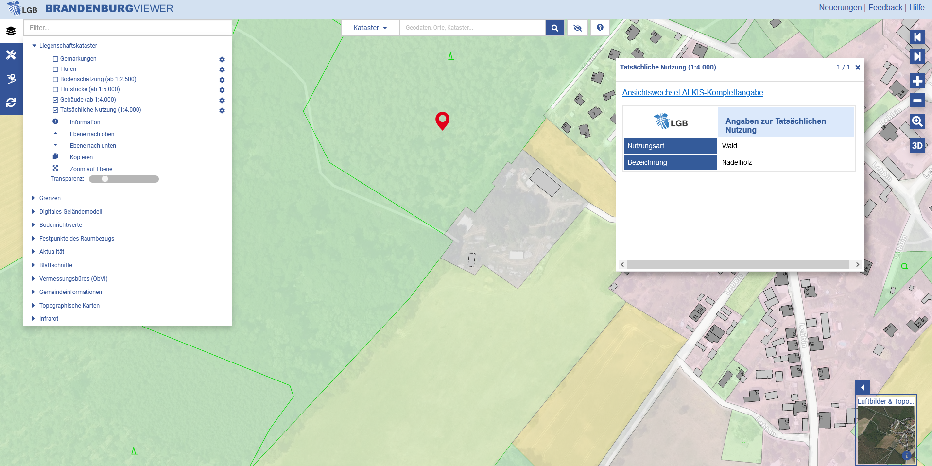 Kartendarstellung aus dem BRANDENBURGVIEWER: Ab sofort kann auch die Tatsächliche Nutzung von Flächen angezeigt werden. Hier zu sehen ist Nadelholz in einem Wald bei Lebbin im Landkreis Oder-Spree. 