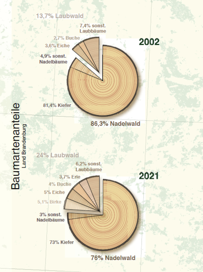 öffnet Abbildung und zeigt einen Vergleich der Baumanteile im Brandenburger Wald zwischen 2002 und 2021