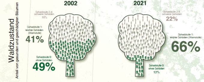 öffnet Abbildung und zeigt eine Darstellung des Anteils von gesunden und geschädigten Bäumen im Vergleich der Jahre 2002 und 2021